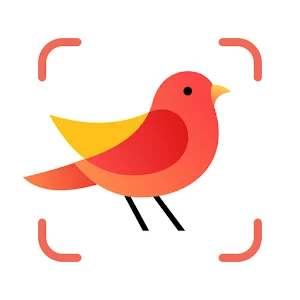 Picture Bird  icon