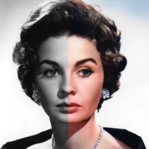 AI Colorizer icon