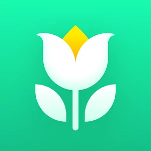 Plant Parent Plant Care Guide 