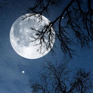 Relax Night sleeping sounds  icon
