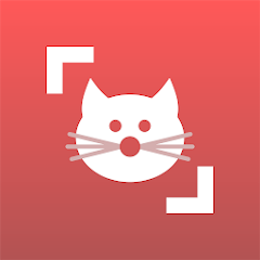 Cat Scanner Breed Recognition 