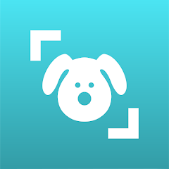 Dog Scanner Breed Recognition 