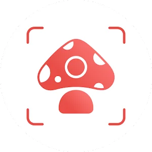 Picture Mushroom - Mushroom ID 